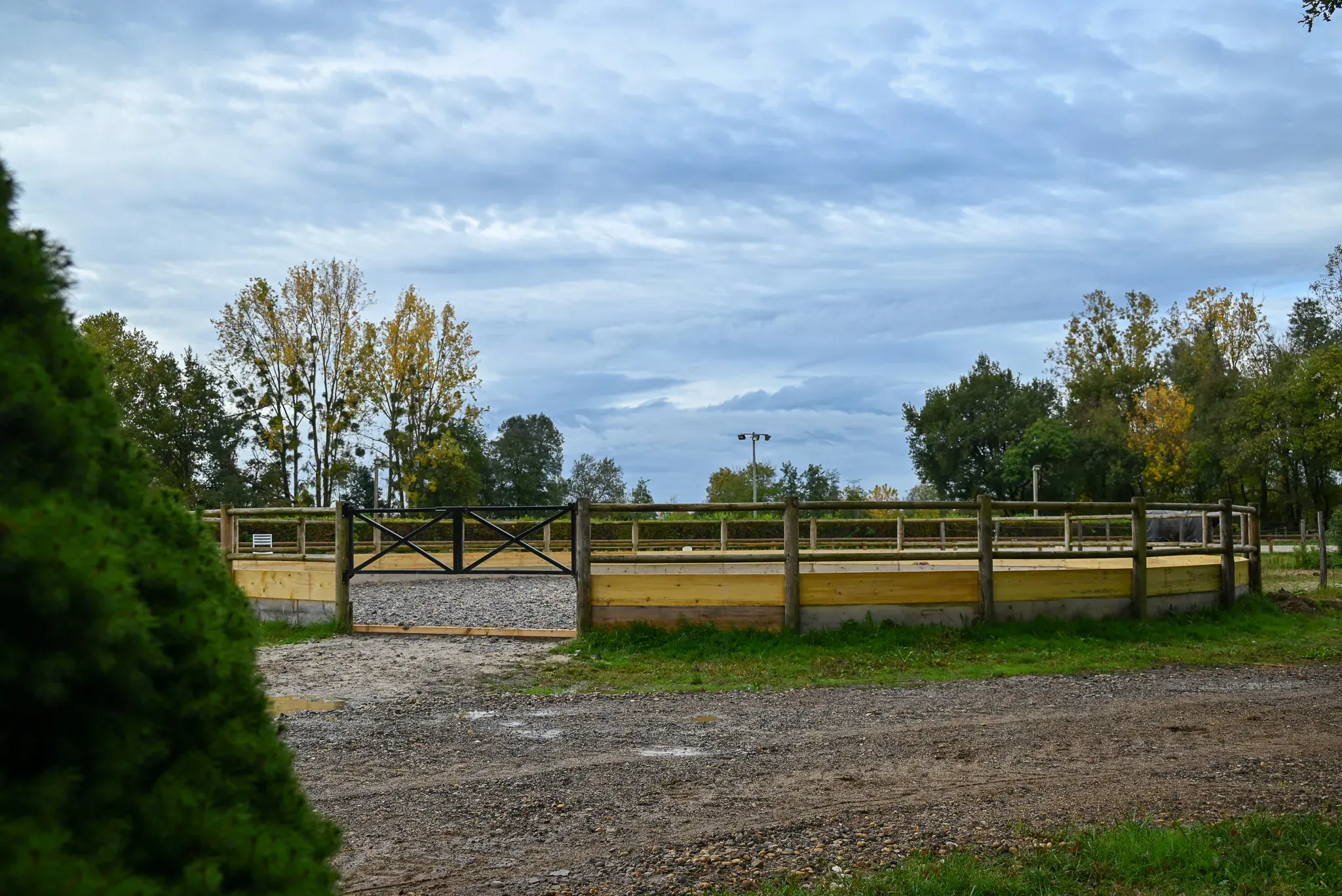 Rond de longe sable pour la mise en route des chevaux près de Vonnas